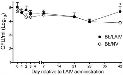 Frontiers  Bordetella bronchiseptica Colonization Limits Efficacy, but